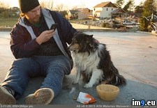 Tags: dog, finds, illinois, man, rubble, tornado (Pict. in My r/PICS favs)