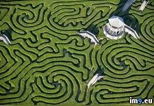 Tags: england, longleat, maze (Pict. in My r/PICS favs)