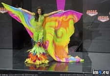 Tags: costumes, national, pageant, parade, universe (Pict. in My r/PICS favs)