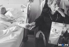 Tags: beautiful, caught, dying, grandfather, grandmother, hospit, moment, old, year (Pict. in My r/PICS favs)
