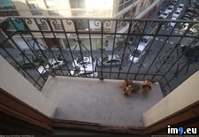 Tags: balcony, inspired, makeover, redditors, was (Pict. in My r/PICS favs)