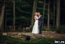 Tags: brother, guests, shot, unexpected, wedding, weekend (Pict. in My r/PICS favs)