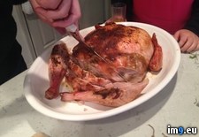 Tags: chicken, duck, family, for, see, thanksgiving, thought, turducken, turkey, year (Pict. in My r/PICS favs)