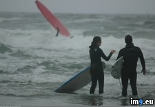 Tags: brother, favorite, picture, surf, teaching, wife (Pict. in My r/PICS favs)