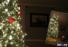 Tags: christmas, get, good, him, metric, out, shot, son, wanted, was (Pict. in My r/PICS favs)