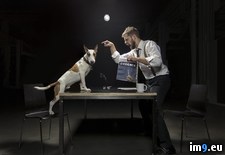 Tags: asked, dog, friend, idea, nice, photo, proposed (Pict. in My r/PICS favs)