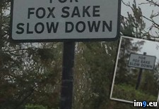 Tags: friend, oxfordshire, passed, road (Pict. in My r/PICS favs)