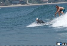 Tags: grandfather, riding, turned, wave (Pict. in My r/PICS favs)