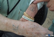 Tags: germany, grandfather, holocaust, liberated, reunion, survivor (Pict. in My r/PICS favs)