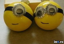 Tags: christmas, despicable, for, him, husband, loves, minions (Pict. in My r/PICS favs)