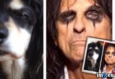 Tags: alice, cooper, dog, sister (Pict. in My r/PICS favs)