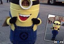Tags: costume, for, halloween, minion, our, son, wife (Pict. in My r/PICS favs)