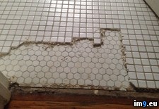 Tags: 1920s, bathroom, hexagon, hour, tile, time, wanted, wife (Pict. in My r/PICS favs)