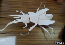 Tags: bored, completely, creatures, freehand, one, paper, students (Pict. in My r/PICS favs)