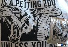 Tags: arrived, ordered, shirt (Pict. in My r/PICS favs)