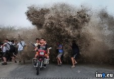 Tags: outrunning, wave (Pict. in My r/PICS favs)