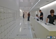 Tags: capsule, hotel, hours, japanese, kyoto, photos (Pict. in My r/PICS favs)