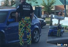 Tags: bit, coloured, montreal, pants, police, protest, ridiculous, wearing (Pict. in My r/PICS favs)