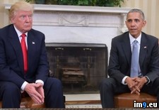 Tags: donald, elect, meets, obama, president, trump, usa (Pict. in My r/PICS favs)
