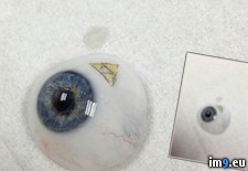 Tags: eye, new, process, prosthetic (Pict. in My r/PICS favs)