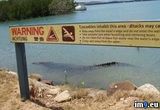 Tags: fuck, swimming, yeah (Pict. in My r/PICS favs)