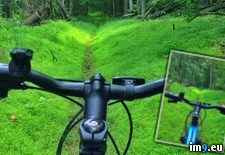 Tags: central, riding, woods (Pict. in My r/PICS favs)