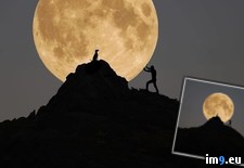 Tags: dog, hill, moon, rolling, super (Pict. in My r/PICS favs)