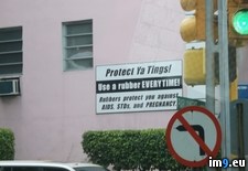 Tags: advertising, bahama, safe, sex, style (Pict. in My r/PICS favs)