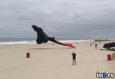 Tags: awesome, beach, kite, saw, toothless (Pict. in My r/PICS favs)