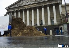 Tags: dumped, french, horse, parliament, shit, tons, was (Pict. in My r/PICS favs)