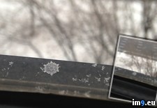 Tags: for, new, perfect, she, sister, snow, snowflake, time, visiting, york (Pict. in My r/PICS favs)