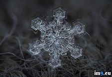 Tags: flakes, real, snow (Pict. in My r/PICS favs)