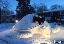 Tags: snow, turtle (Pict. in My r/PICS favs)
