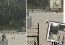 Tags: deserves, flooding, guy, louisiana, raise (Pict. in My r/PICS favs)