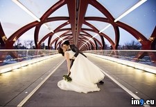 Tags: bridge, calgary, million, nice, peace, people, photograph, spent, wedding (Pict. in My r/PICS favs)