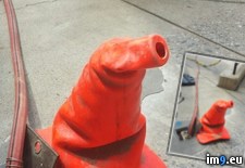 Tags: cone, sorting (Pict. in My r/PICS favs)