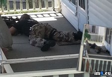 Tags: easter, porch, sniper, spent, stand, street, sunday, swat (Pict. in My r/PICS favs)