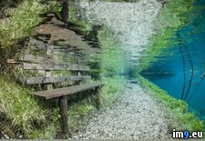 Tags: austria, park, submerged (Pict. in My r/PICS favs)