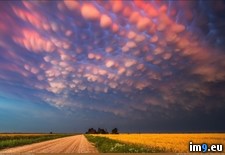 Tags: cloud, formation, mammatus, nebraska, surreal (Pict. in My r/PICS favs)