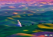 Tags: colorful, hills, rolling, tuscany (Pict. in My r/PICS favs)