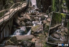 Tags: flume, gorge, hampshire, new (Pict. in My r/PICS favs)
