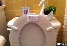 Tags: brother, dating, girl, house, lives, note, seat, taped, toilet (Pict. in My r/PICS favs)