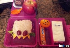 Tags: daughter, for, lunch, morning, packed, wife (Pict. in My r/PICS favs)