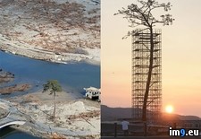Tags: japan, protected, restored, survived, tree, trees, tsunami (Pict. in My r/PICS favs)