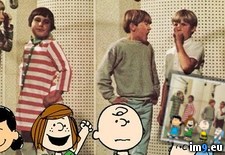 Tags: characters, peanuts, voices (Pict. in My r/PICS favs)