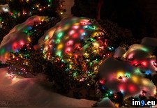 Tags: christmas, covered, lights, snow (Pict. in My r/PICS favs)