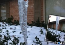 Tags: frozen, house, icicle, penny, was (Pict. in My r/PICS favs)