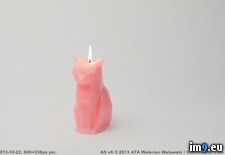 Tags: aluminum, burns, candle, cat, reveal, skeleton, tiny (Pict. in My r/PICS favs)
