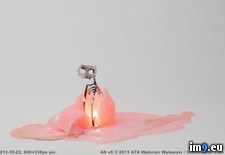 Tags: aluminum, burns, candle, cat, reveal, skeleton, tiny (Pict. in My r/PICS favs)