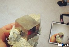 Tags: cube, matrix, natural, perfect, rocky (Pict. in My r/PICS favs)